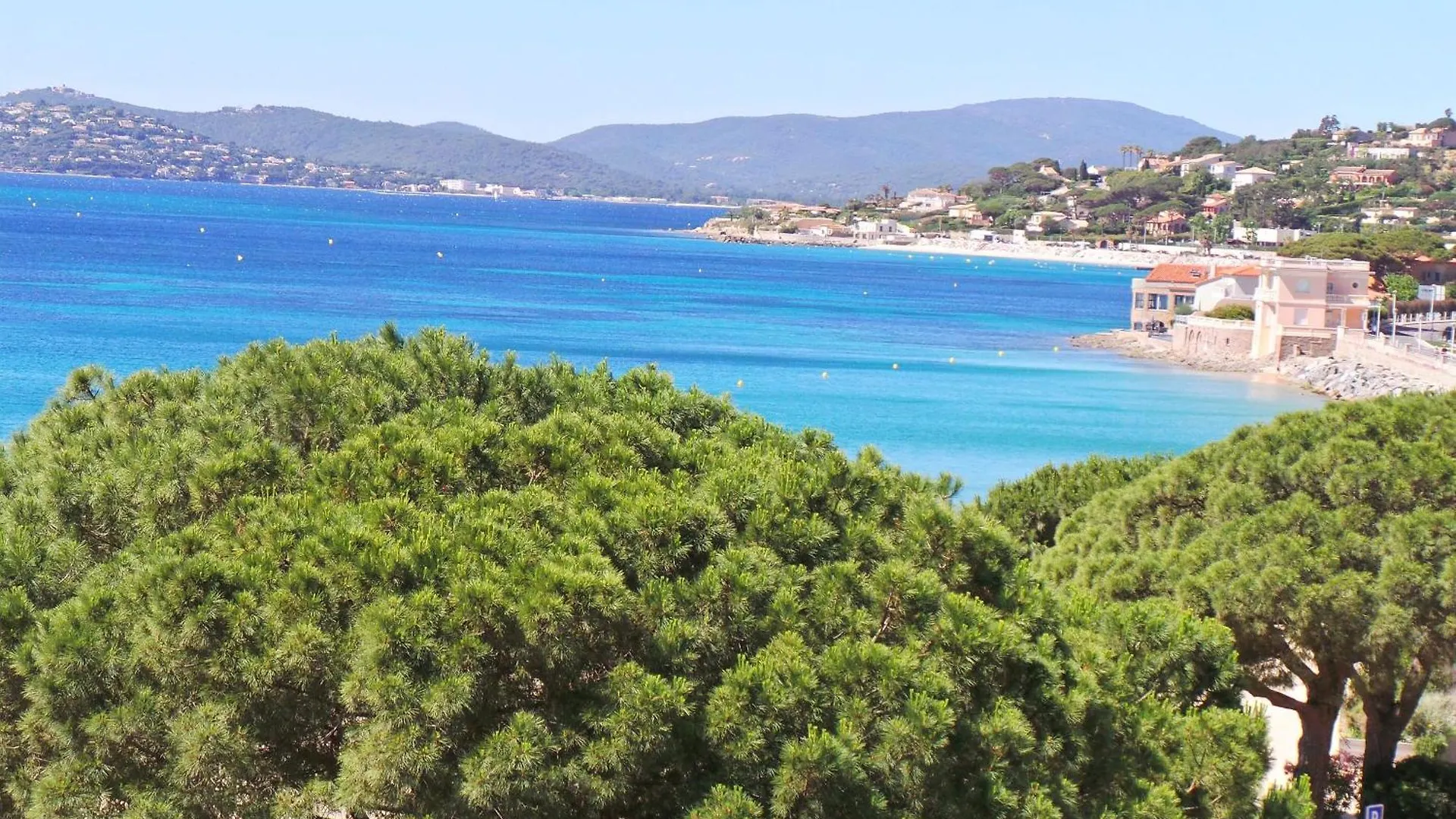 Les Dauphins Appartement Sainte-Maxime France